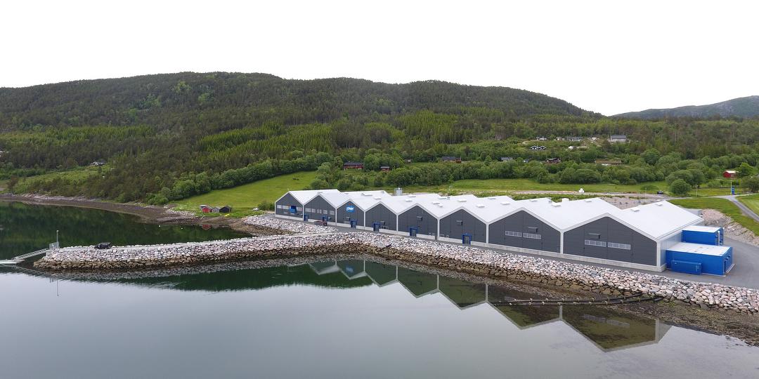 Bilde/illustrasjon for Lerøy Midt avd. Belsvik