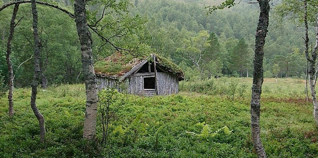 Bilde/illustrasjon om Engdal velforening