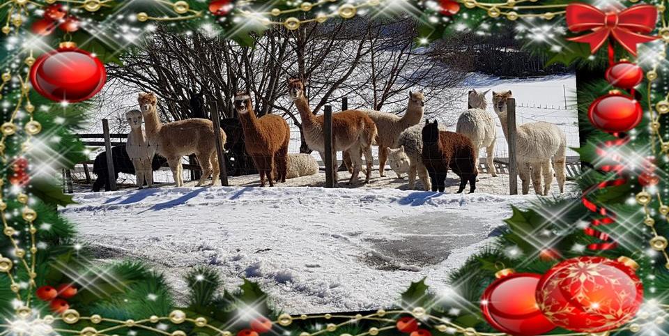 Bilde/illustrasjon for Julemarked m/juleverksted
