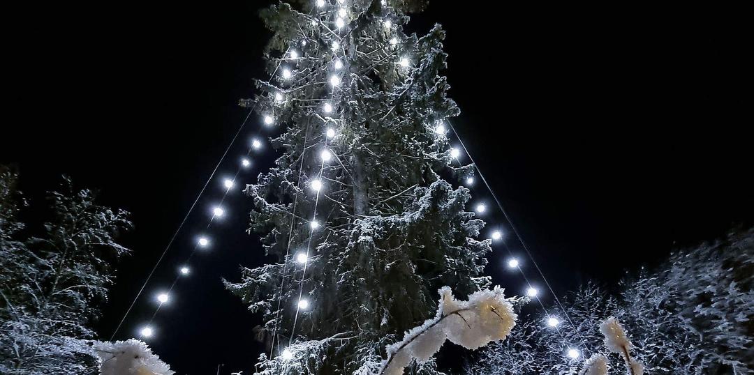 Bilde/illustrasjon for Julegrantenning i Engdalen