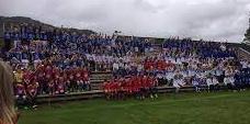 Bilde/illustrasjon for Halsa Cup