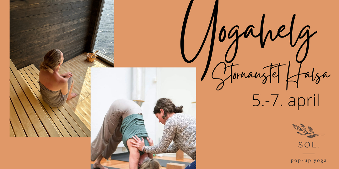 Bilde/illustrasjon for Yogakurs