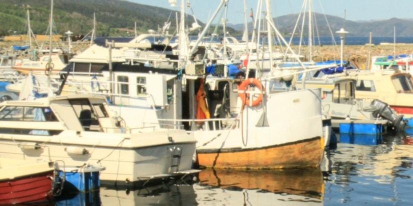 Bilde/illustrasjon for Havfiskedag i båthavna-AVLYST