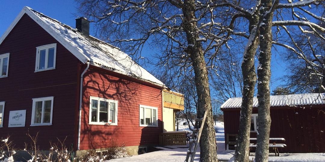 Bilde/illustrasjon for Jul på Liabø