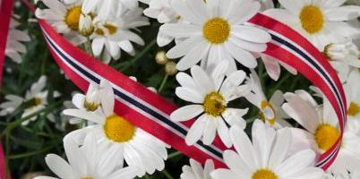 Bilde/illustrasjon for 17.mai program på Liabøen
